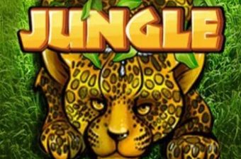 Jungle
